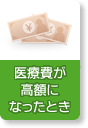 医療費が高額になったとき