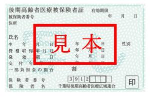 令和6年度の保険証イメージ（薄緑色）